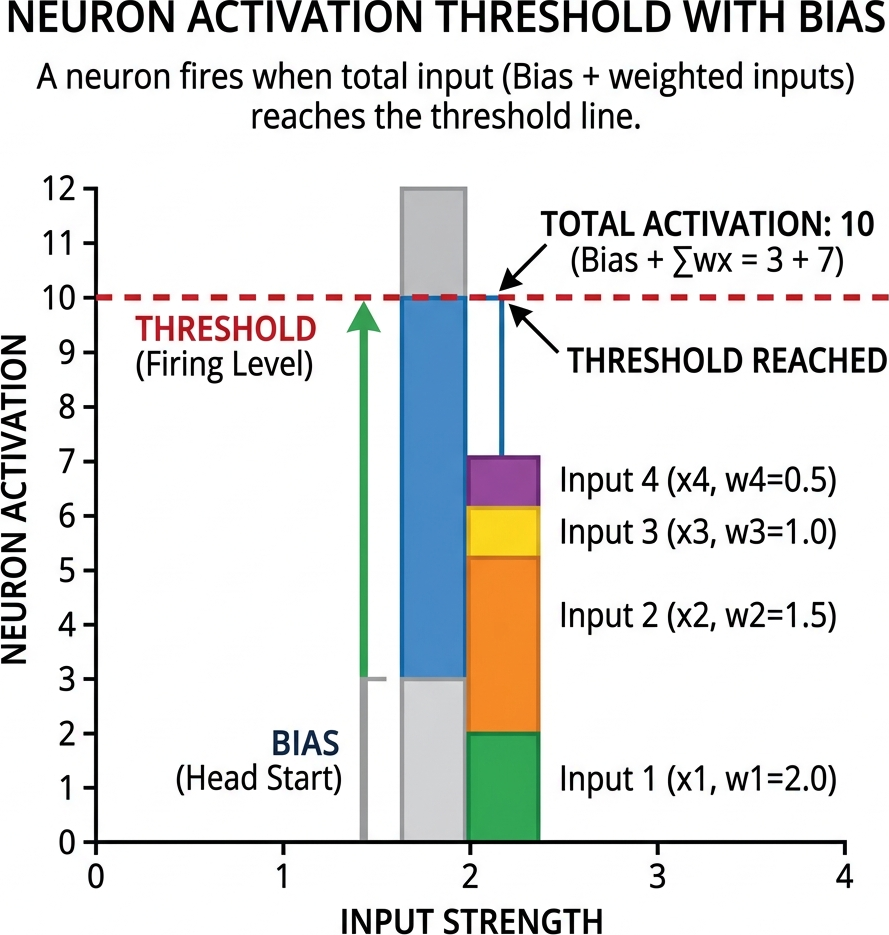 Flat diagram showing a neuron adding up inputs with a fixed Bias block giving it a head start toward a Threshold line